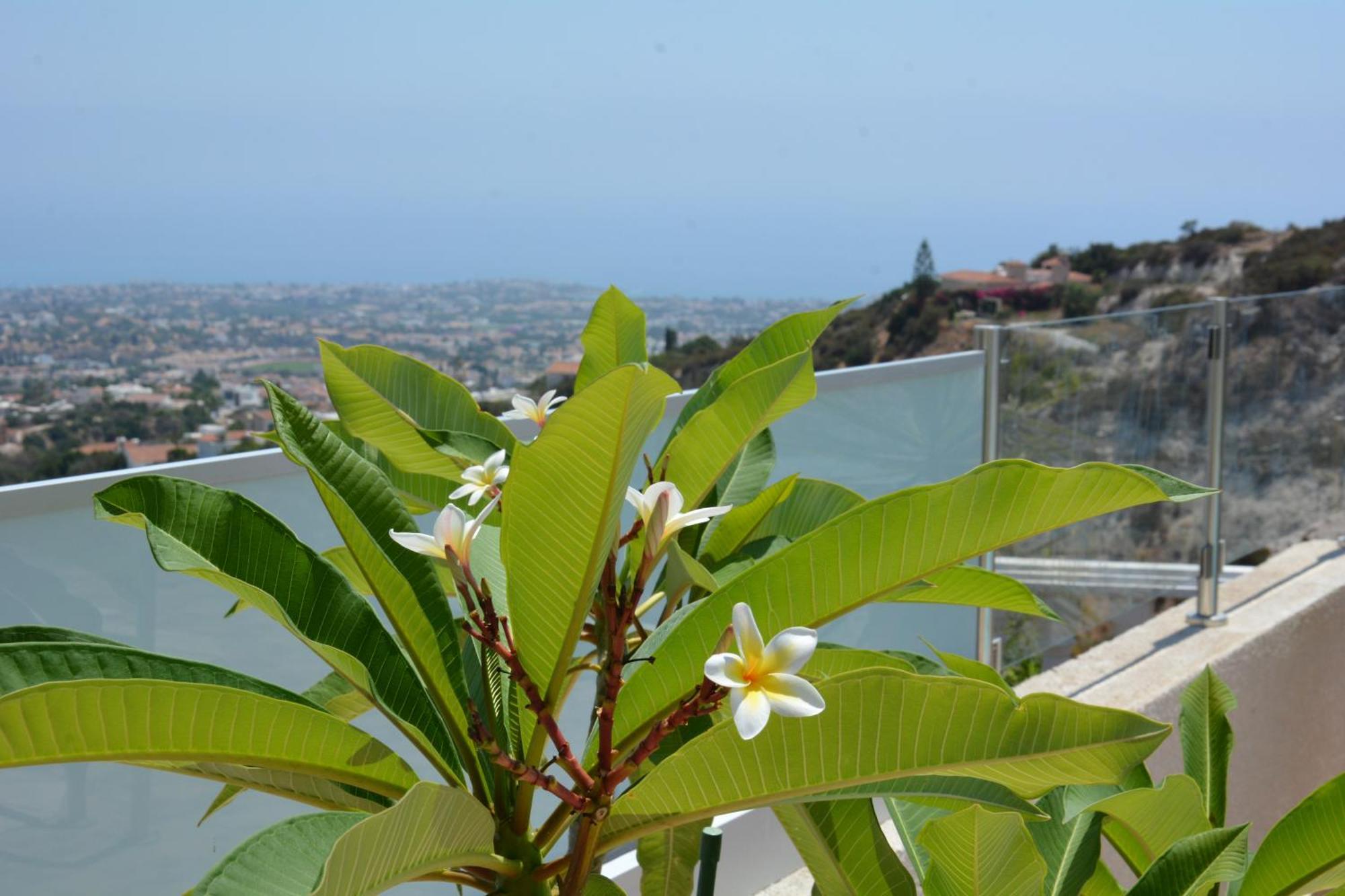 Villa Ocean Breeze Peyia Esterno foto